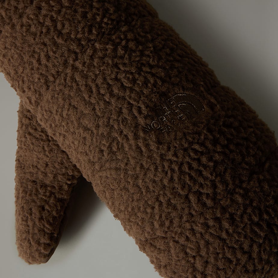 Mitones The North Face Cragmont Fleece Mujer Marrom | NF0A37E6X