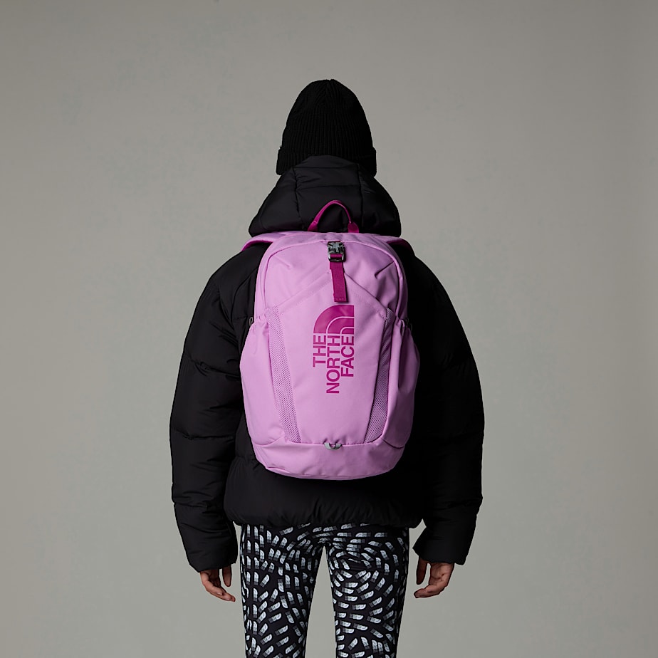 Mochilas The North Face Mini Recon Niños Rosas | NF0A51Y4X