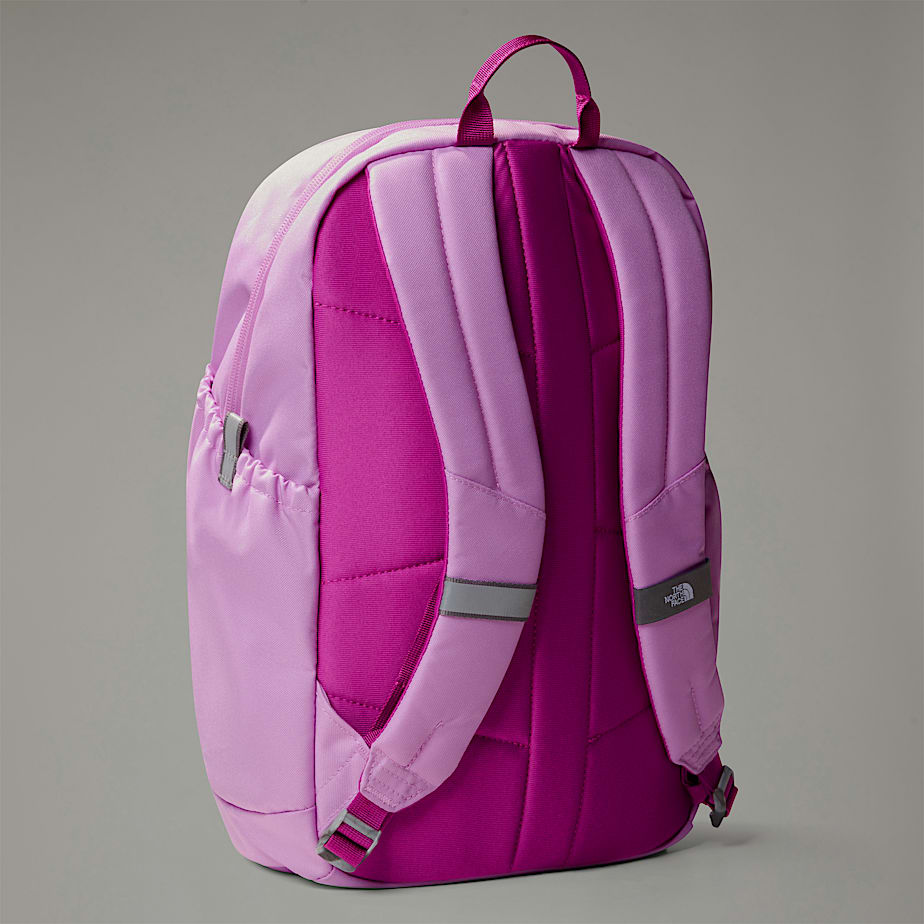 Mochilas The North Face Mini Recon Niños Rosas | NF0A51Y4X