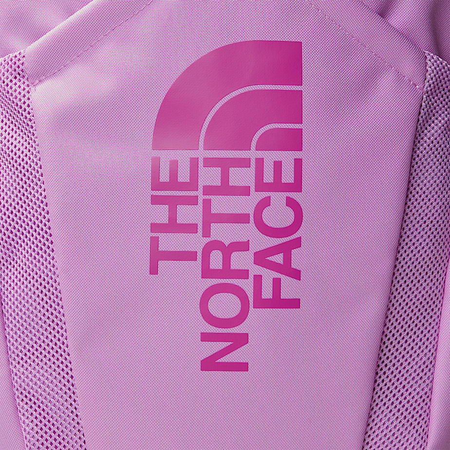 Mochilas The North Face Mini Recon Niños Rosas | NF0A51Y4X