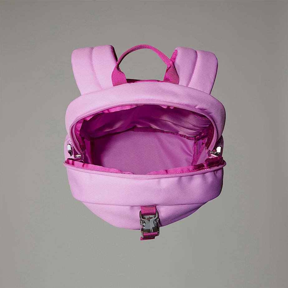 Mochilas The North Face Mini Recon Niños Rosas | NF0A51Y4X