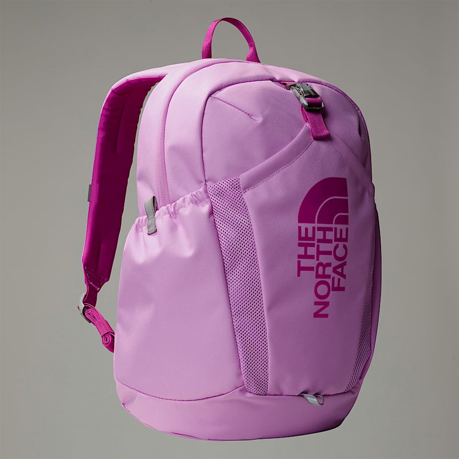 Mochilas The North Face Mini Recon Niños Rosas | NF0A51Y4X