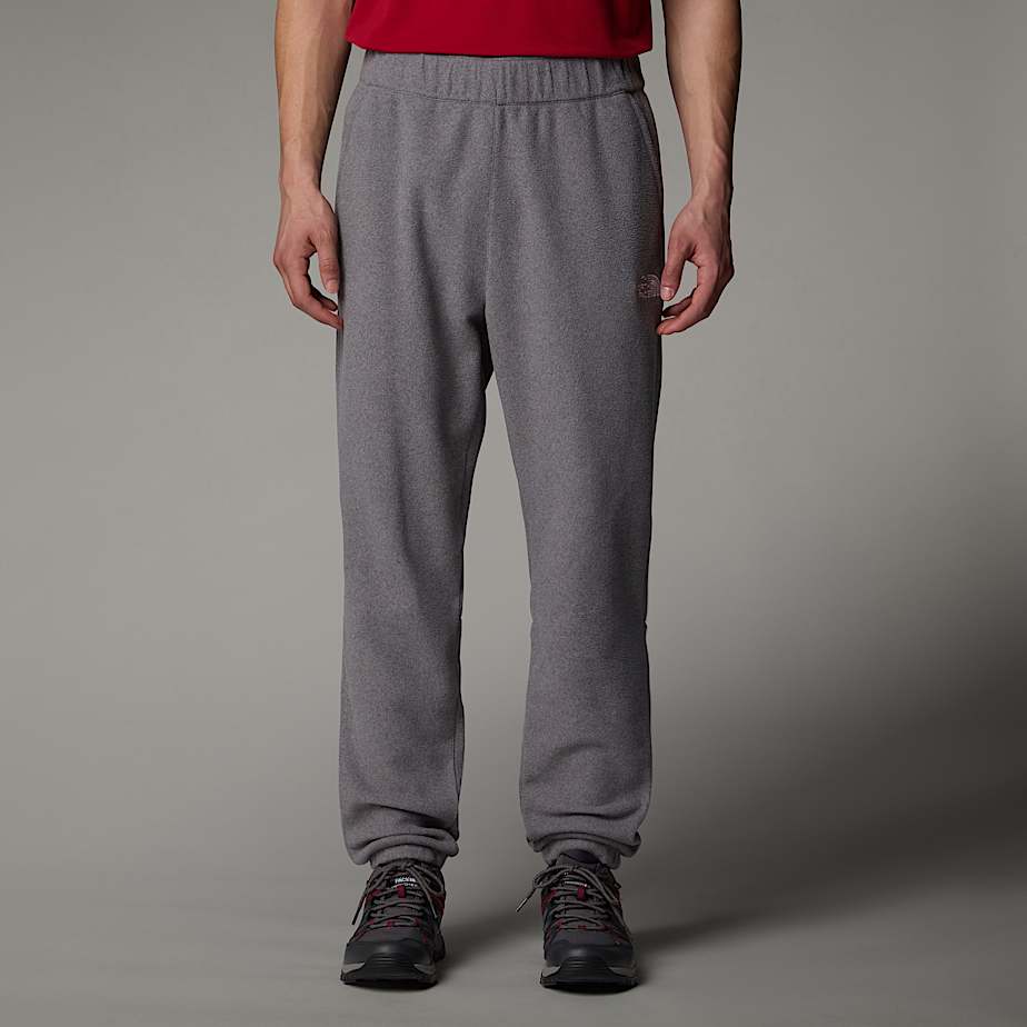 Pantalon Jogger The North Face 100 Glacier Hombre Grises | NF0A59R2N