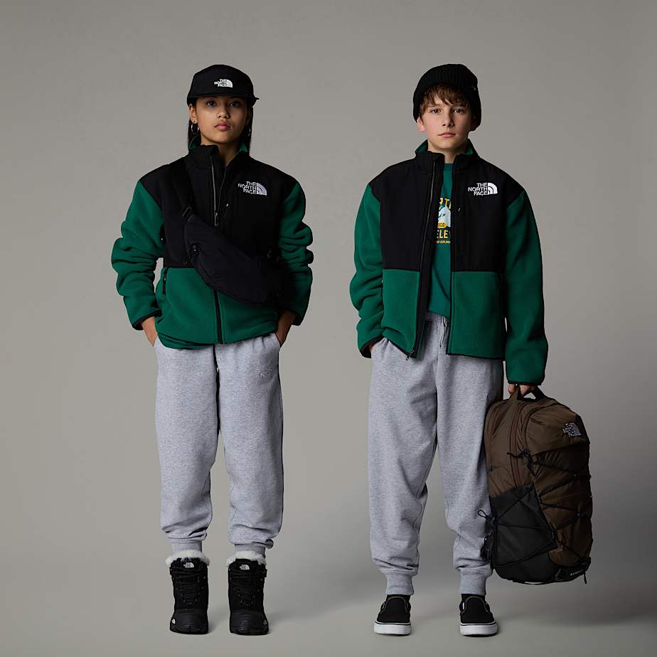 Pantalon Jogger The North Face Essential Oversized Niños Grises | NF0A44S6T