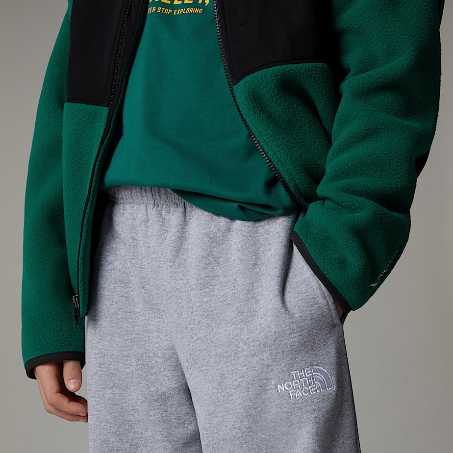 Pantalon Jogger The North Face Essential Oversized Niños Grises | NF0A44S6T