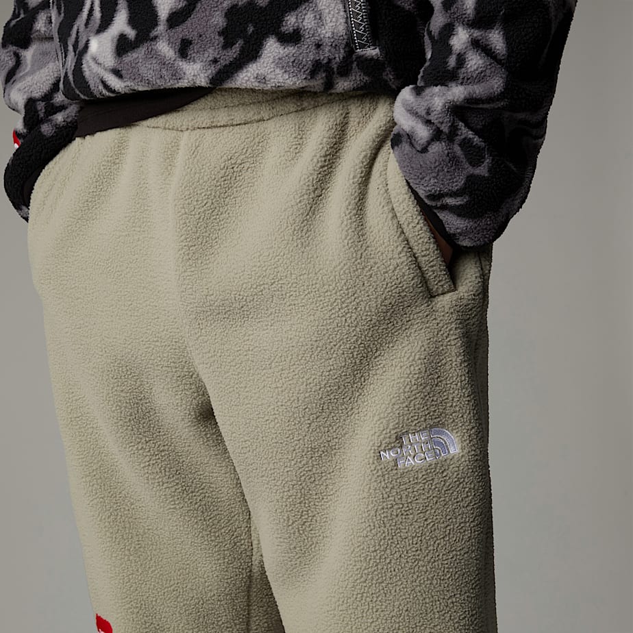 Pantalon Jogger The North Face Fleeski Hombre Grises | NF0A80N8S