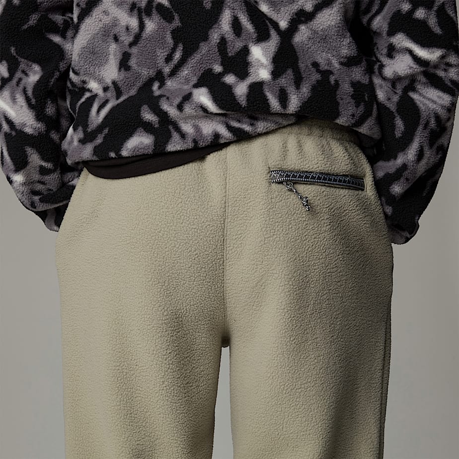 Pantalon Jogger The North Face Fleeski Hombre Grises | NF0A80N8S