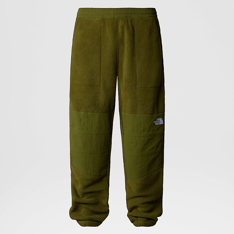 Pantalon The North Face Ripstop Denali Hombre Verdes | NF0A49L4Q