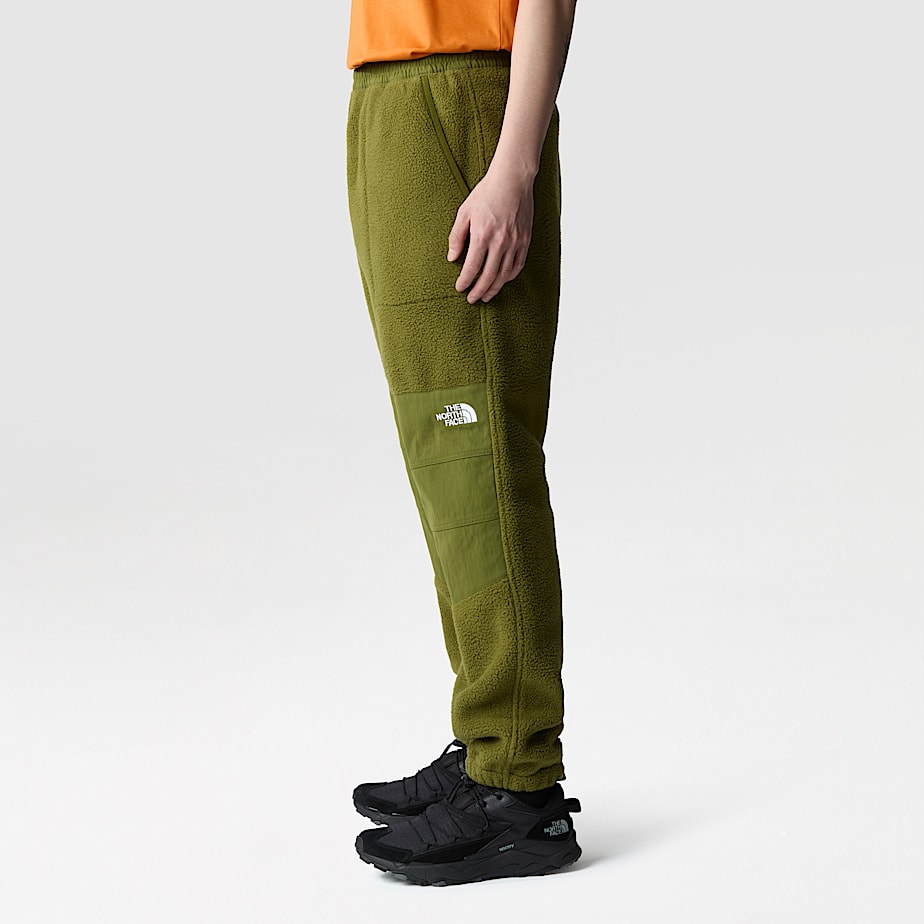 Pantalon The North Face Ripstop Denali Hombre Verdes | NF0A49L4Q
