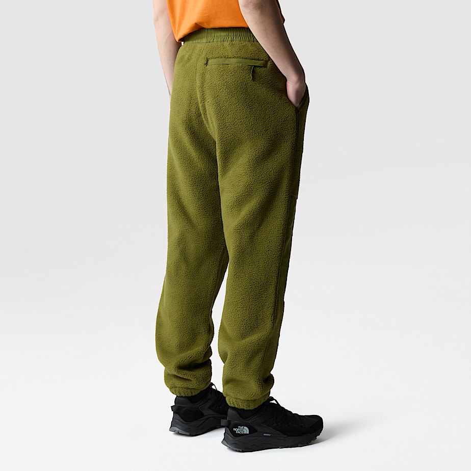 Pantalon The North Face Ripstop Denali Hombre Verdes | NF0A49L4Q