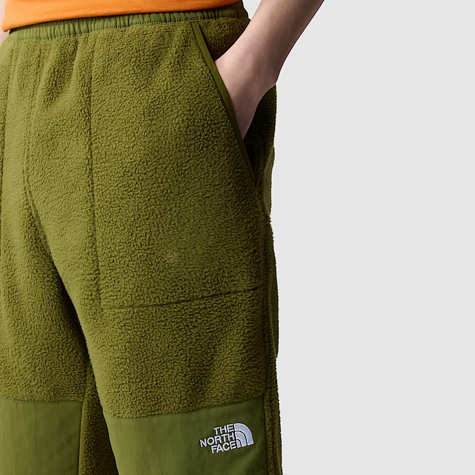 Pantalon The North Face Ripstop Denali Hombre Verdes | NF0A49L4Q