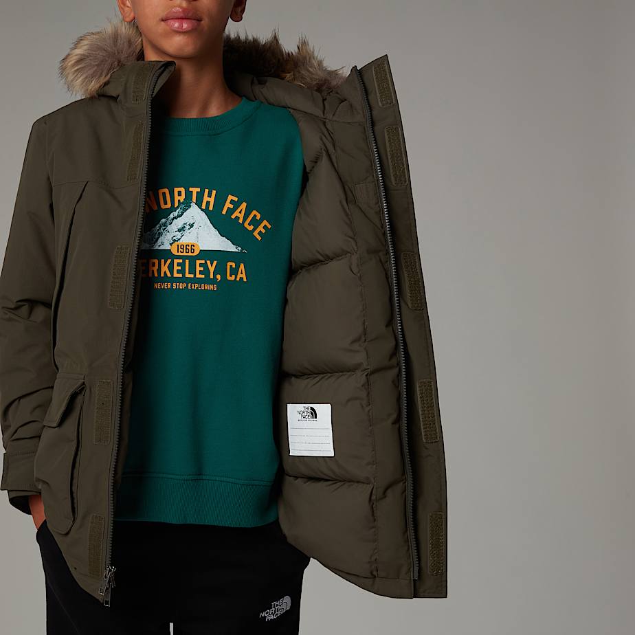 Parka The North Face McMurdo Niños Verdes | NF0A45Z3E