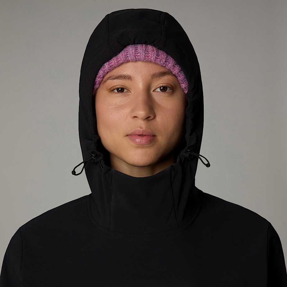 Pullover The North Face Tekno Hoodie Mujer Negros | NF0A68S5X