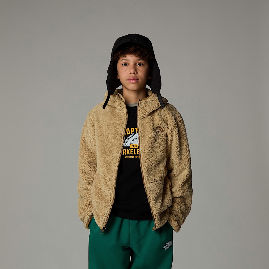 Sudadera con Capucha The North Face Campshire Full-Zip Niños Kaki | NF0A61J6A