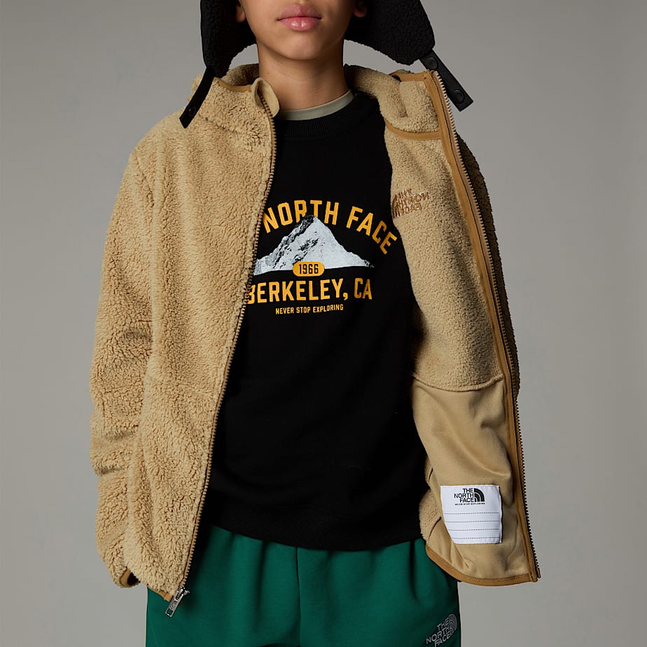 Sudadera con Capucha The North Face Campshire Full-Zip Niños Kaki | NF0A61J6A