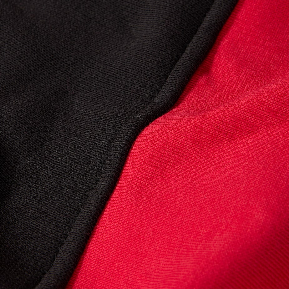 Sudadera con Capucha The North Face Icons Full-Zip Hombre Rojos | NF0A99F2M