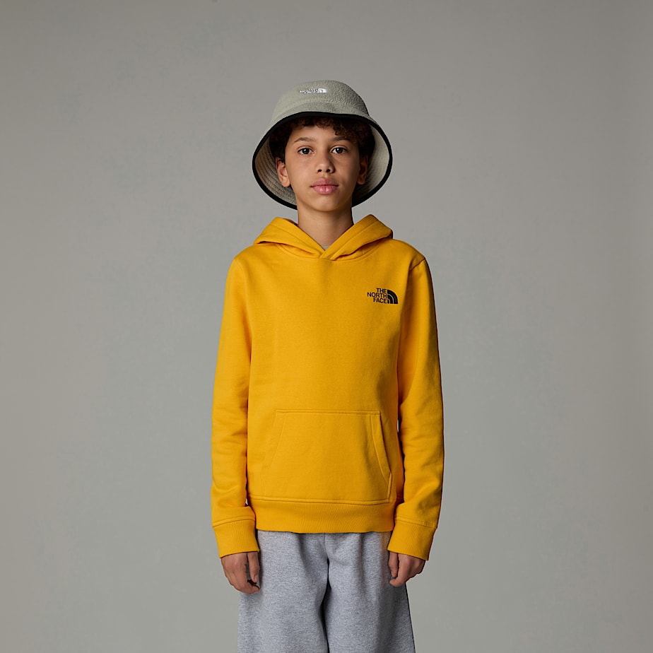 Sudadera con Capucha The North Face Redbox Niños Dorados | NF0A09P4C