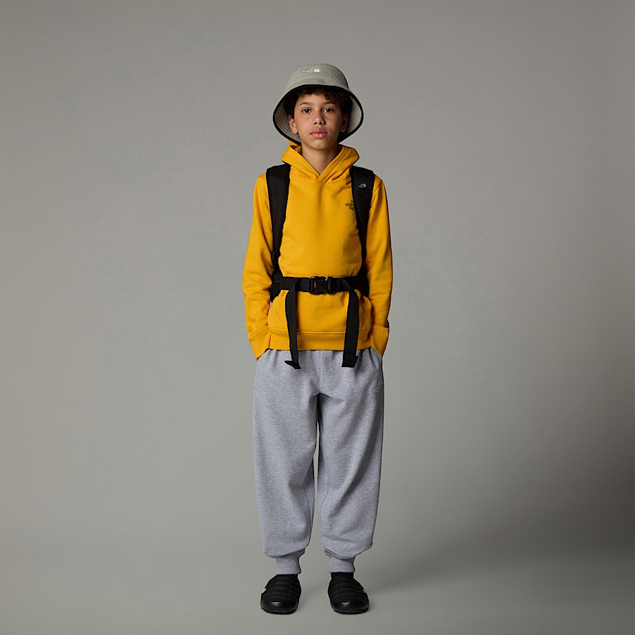 Sudadera con Capucha The North Face Redbox Niños Dorados | NF0A09P4C