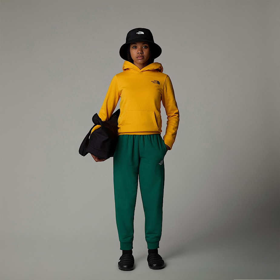Sudadera con Capucha The North Face Redbox Niños Dorados | NF0A09P4C