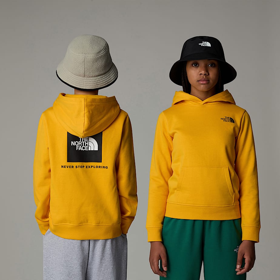 Sudadera con Capucha The North Face Redbox Niños Dorados | NF0A09P4C