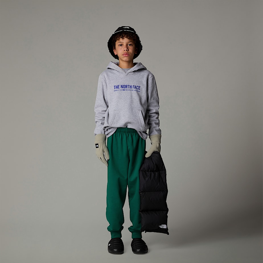 Sudadera con Capucha The North Face Varsity Graphic Relaxed Niños Grises | NF0A79S6K