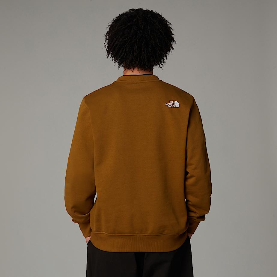 Sudaderas The North Face Drew Peak Hombre Marrom | NF0A85S3W