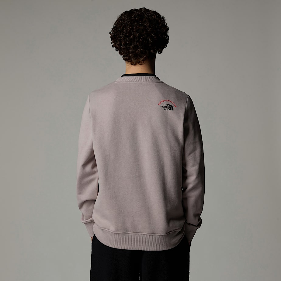 Sudaderas The North Face Expedition System Graphic Hombre Grises | NF0A05L7D