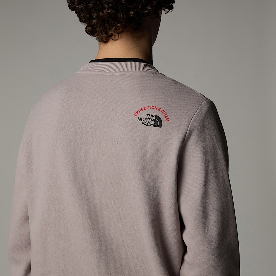 Sudaderas The North Face Expedition System Graphic Hombre Grises | NF0A05L7D