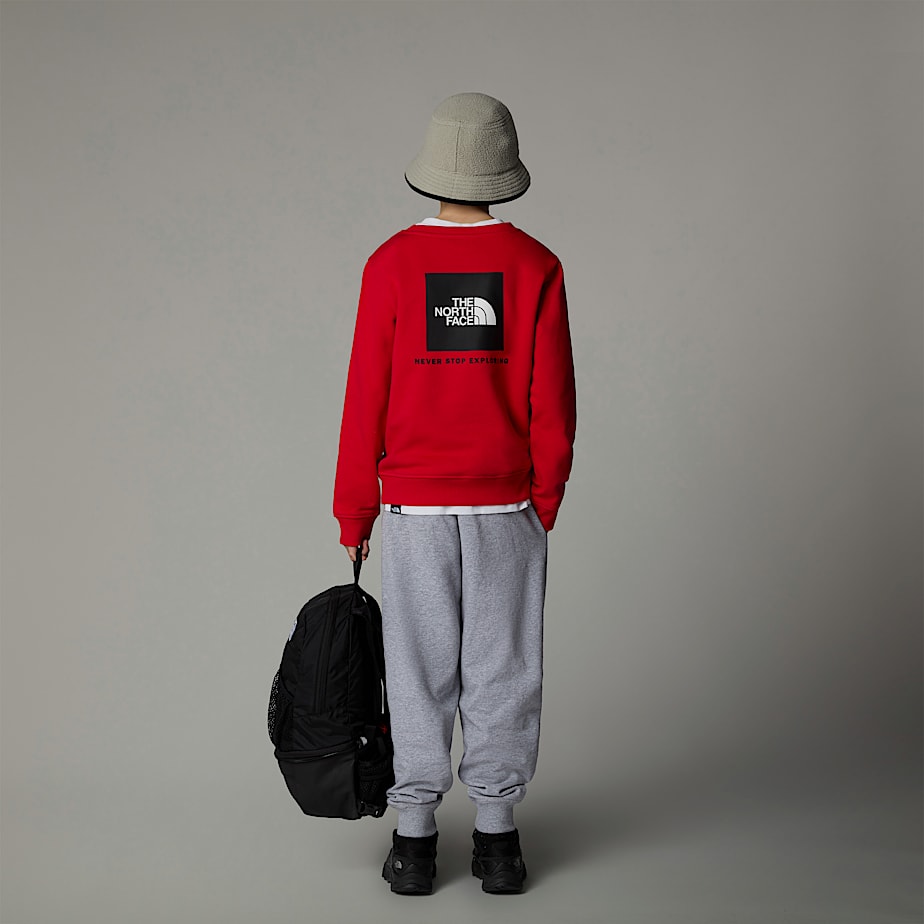 Sudaderas The North Face Redbox Niños Rojos | NF0A66F2G