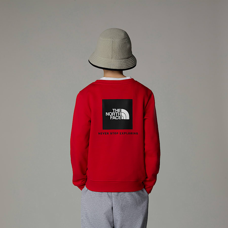 Sudaderas The North Face Redbox Niños Rojos | NF0A66F2G
