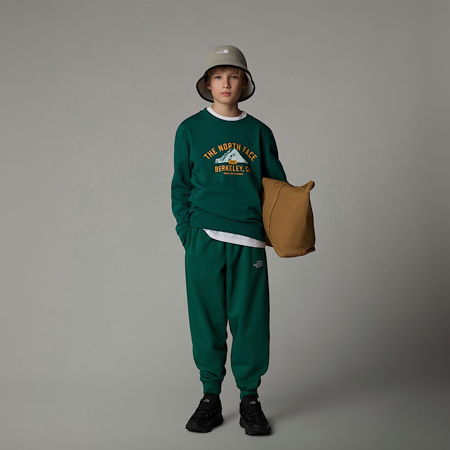 Sudaderas The North Face Varsity Graphic Relaxed Niños Verdes | NF0A82S6Y