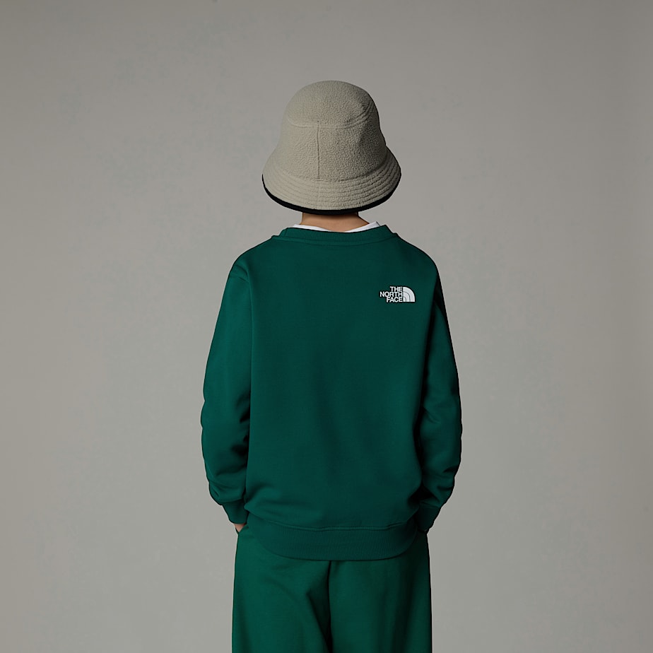 Sudaderas The North Face Varsity Graphic Relaxed Niños Verdes | NF0A82S6Y