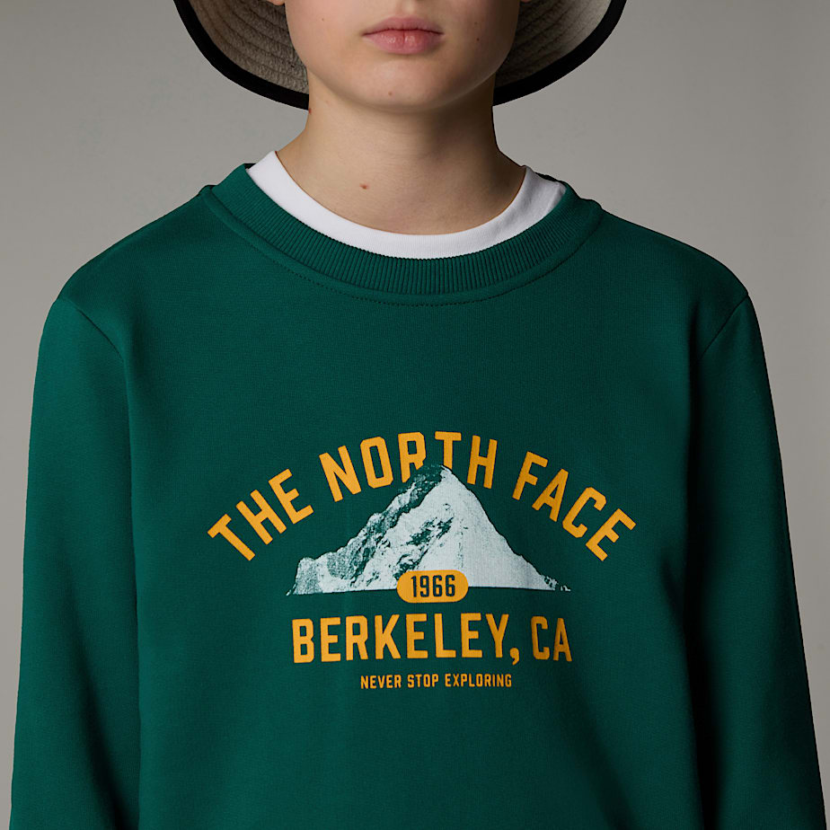 Sudaderas The North Face Varsity Graphic Relaxed Niños Verdes | NF0A82S6Y