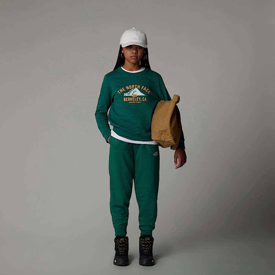 Sudaderas The North Face Varsity Graphic Relaxed Niños Verdes | NF0A82S6Y