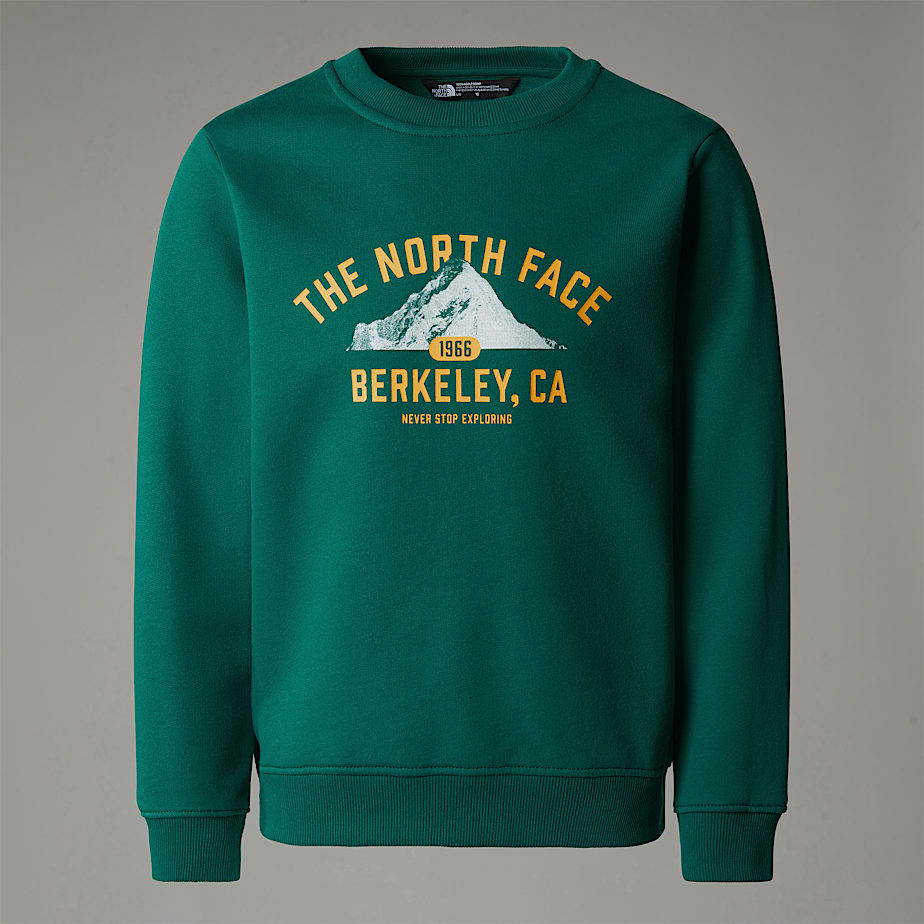 Sudaderas The North Face Varsity Graphic Relaxed Niños Verdes | NF0A82S6Y