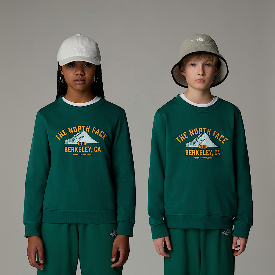 Sudaderas The North Face Varsity Graphic Relaxed Niños Verdes | NF0A82S6Y